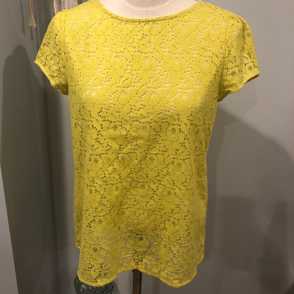 Ann Taylor LOFT Blouse